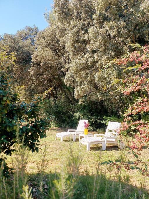 Studio Avec Jardin Entre Aix-En-Provence, Luberon Et Verdon Peyrolles-en-Provence Экстерьер фото